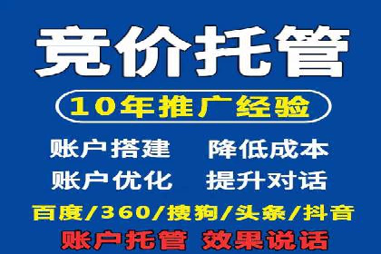 案例研究：SEM开户助力电商快速崛起